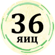 inkubatory dlya yaic nesushka 36 yaic logo 06.05.2021 www.molino.by