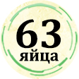 inkubatory dlya yaic nesushka 63 yajca logo 05.05.2021 www.molino.by